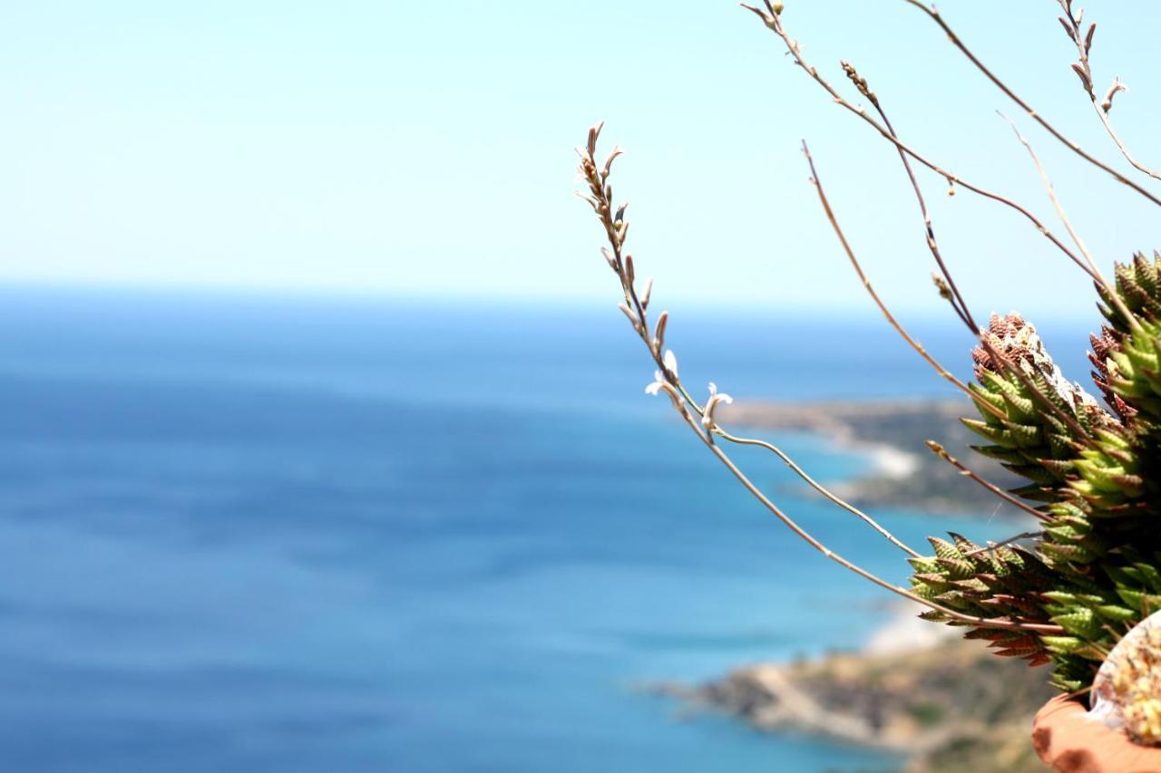 Βίλα Μαίστρος Ροδάκινο Εξωτερικό φωτογραφία